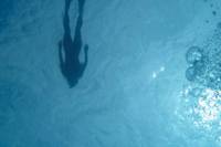 Snorkel Rental with Transportation