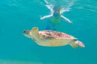 Snorkel Xtreme Cancun