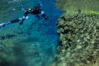 Snorkeling in Thingvellir National Park from Reykjavik