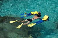 Snorkeling Tour and Cozumel Beach Party