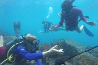 Snuba Tour in Guanacaste