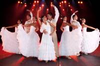 Son Amar Show in Mallorca with Dinner and Drinks