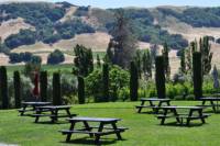 Sonoma Valley Wine Tasting and Alcatraz Combo Tour