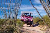 Sonoran Desert Off-Road Jeep Tour with Optional Cowboy Experience