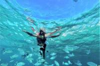 Ibiza Snorkeling Beach and Cave Cruise Tour