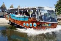 Splash Tour: Rio de Janeiro by Land and Water