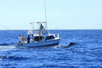 Sport Fishing in the Pacific from Guatemala City