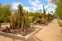 Springs Preserve Admission