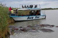 St Lucia Wetlands Day Trip from Durban Including Estuary Boat Ride