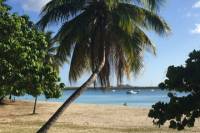 St Thomas Full-Day Private Customized Tour
