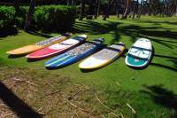 Stand Up Paddle Board Rental