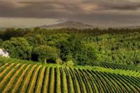 Stellenbosch Winelands Tour from Cape Town