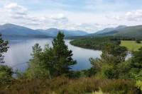 Stirling Castle and Whisky Small Group Day Tour from Edinburgh