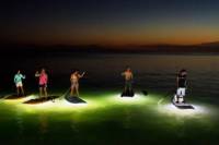 Sunset Kayak or Stand-Up Paddleboard Tour in Vancouver