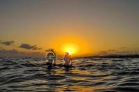 Sunset Utopia Island Cruise with Snorkeling