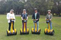 Swan Valley Electric Chariot Tour