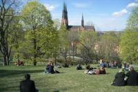 Swedish Lifestyle and Private Walking Tour of Uppsala