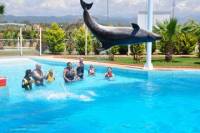 Swim with Dolphins at Sealanya Dolphinpark
