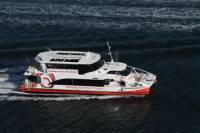 Sydney Harbour Morning Tea Cruise