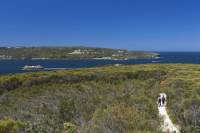 Sydney Harbour National Park: Private Walking Tour from the Spit to Manly