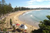 Sydney, Manly and Northern Beaches Morning Tour with Optional Harbour Lunch Cruise
