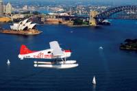 Sydney Shore Excursion: Scenic Seaplane Tour Over Sydney with Optional Lunch