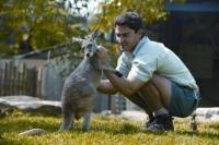 Sydney Taronga Zoo General Entry Ticket and Wild Australia Experience