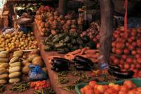 Tanzania Village Coffee and Community Tour from Arusha Including Lunch with a Local