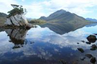 Tasmania Wilderness Experience: Southwest National Park by Air with Bush Walk and Harbor Cruise