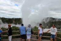 Tauranga Shore Excursion: Maori Culture, Kiwis, and Geo-Thermal Valleys in Tauranga