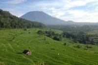 Tenganan Village Rice Field Trekking Tour