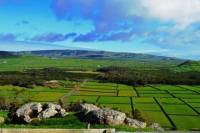 Terceira Island Van tour