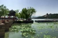 The Essence of Beijing: the Summer Palace, Beijing Zoo and the Lama Temple