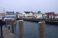 The Hamptons, Sag Harbor and Outlet Shopping Day Trip from New York City