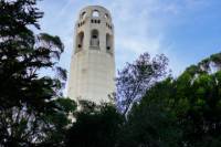 The Original SF Native Tour