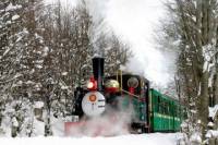 Tierra del Fuego National Park Half-Day Tour with Optional End of the World Train Ride