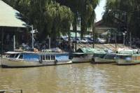 Tigre Delta Day Trip from Buenos Aires