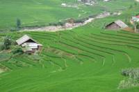 Topas Ecolodge and Red Dao Village Day Tour from Sapa Town