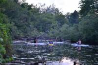 Toronto Islands Stand-Up Paddleboarding Tour