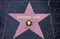 Tour of Los Angeles, Hollywood and Beverly Hills