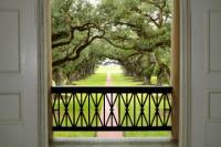 Tour of Oak Alley Plantation