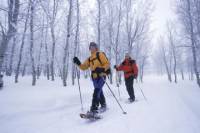Tromso Snowshoe Hike