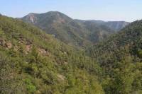 Troodos and Kykkos