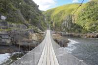Tsitsikamma National Park Day Trip from Knysna