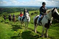 Two-Hour Horseback Mountain Trail Ride in Tipperary
