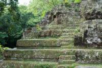 Uaxactun Day Tour from Flores