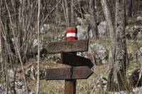 Ucka Mountain Hiking Tour