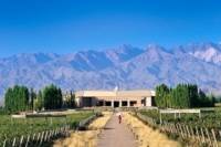 Uco Valley Wine Day Trip from Mendoza