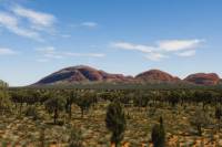 Uluru Sunset and Kata Tjuta Tour with Optional Outback Barbecue Dinner