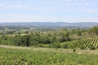 Unique Carcassonne Winery visit